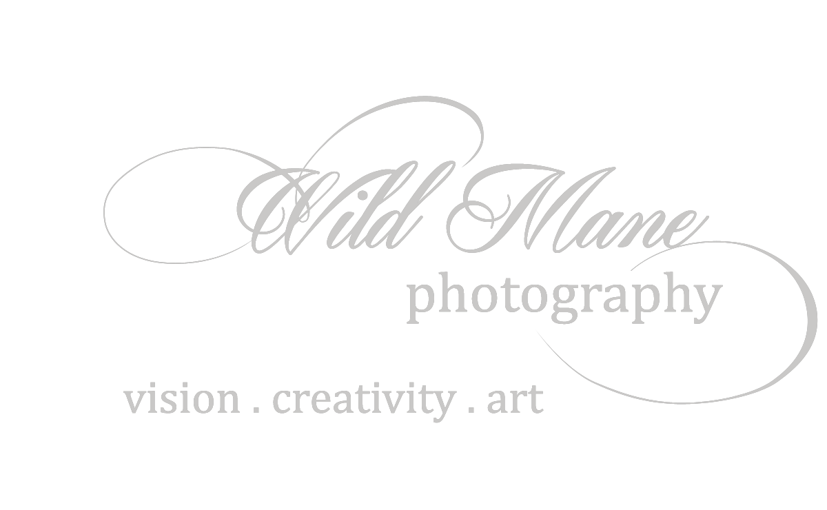 Wild Mane Photography